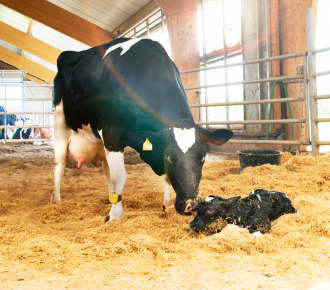 Dutch Dairy Campus: Key role in nutrition research