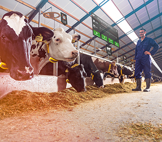 Nedap brings Augmented Reality into the dairy farm